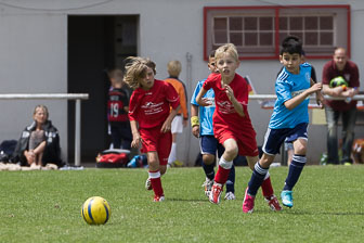 14. Juni 2014 E-Jugend-Turnier 