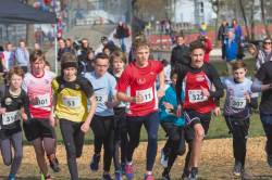 Baden-Württembergische Meisterschaften Crosslauf