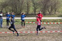 Baden-Württembergische Meisterschaften Crosslauf