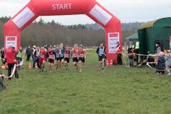 Sparkassen Cross - Pforzheim