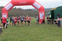 Sparkassen Cross - Pforzheim