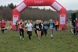 Sparkassen Cross - Pforzheim