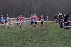 Sparkassen Cross - Pforzheim