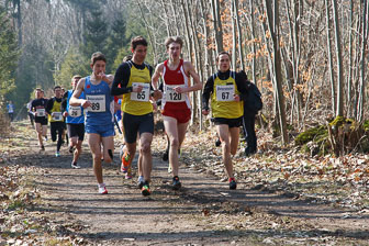 3. März 2013