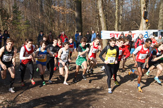3. März 2013