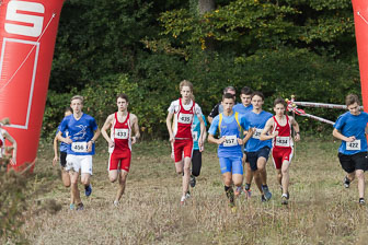 32. Int. Crosslauf Hatzenbühl